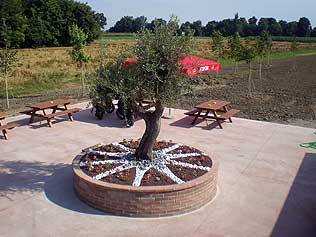 Progettazione giardini Progettazione giardini