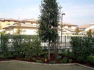 Progettazione giardini Progettazione giardini